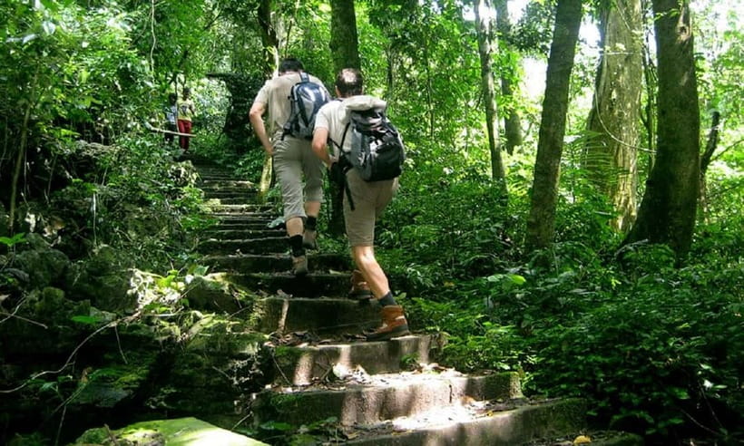 Ninh Binh : Cuc Phuong National Park One Day Group Tour - Endangered Primate Rescue Center and Botanical Garden Quick Hit