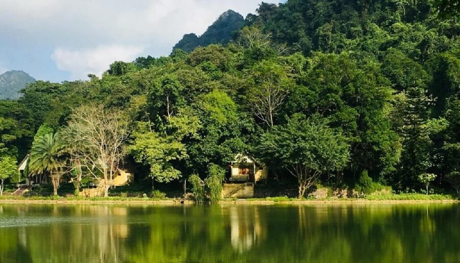 Ninh Binh : Cuc Phuong National Park One Day Group Tour - Cave of Prehistoric Man: History Under the Jungle Canopy