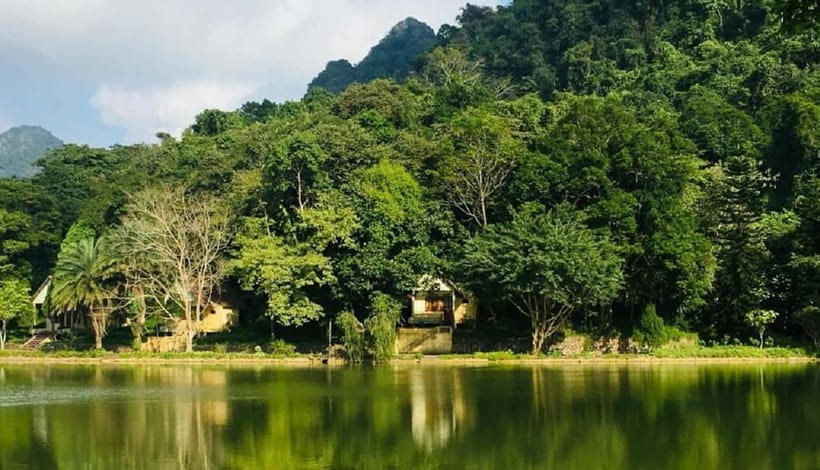 Ninh Binh : Cuc Phuong National Park One Day Group Tour - Hotel Pickup at 08:30 and the Drive into Primary Forest
