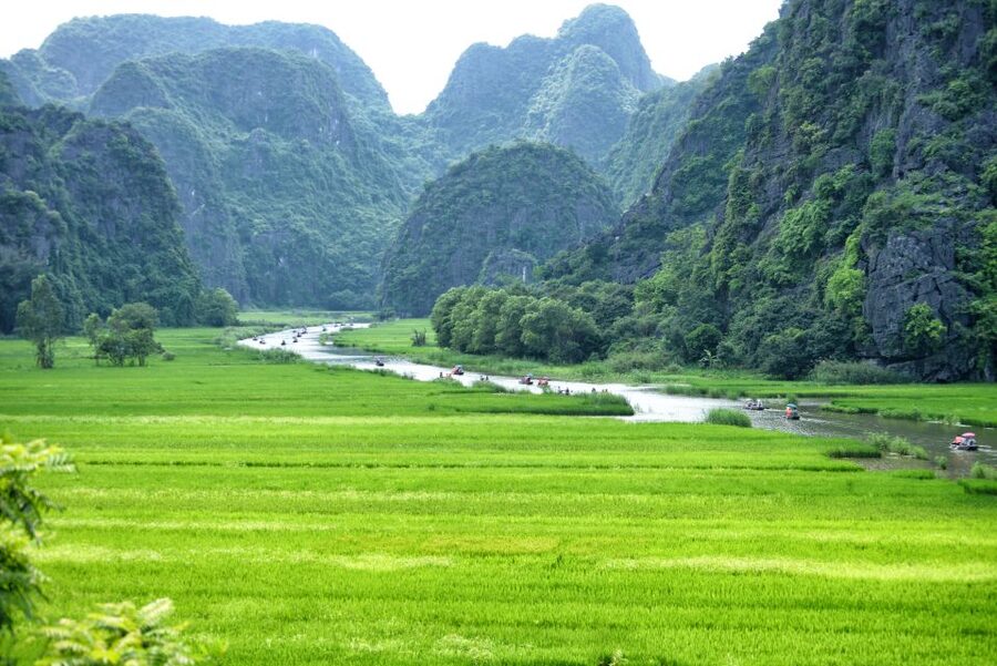 Ninh Binh Daily: Hoa Lu, Mua Cave, Tam Coc, Bike & Swimming - Tam Coc by sampan, three caves and rice paddies in motion