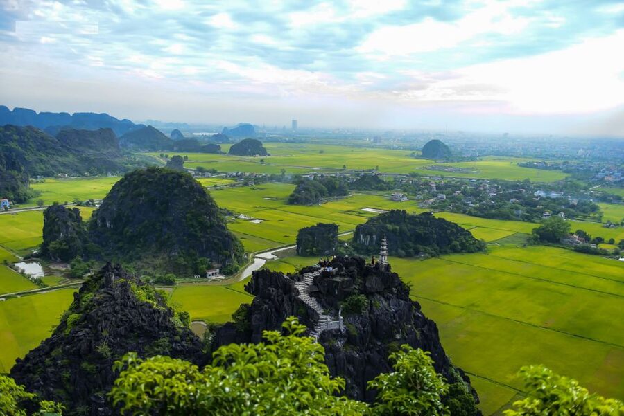 Ninh Binh Daily: Hoa Lu, Mua Cave, Tam Coc, Bike & Swimming - Cycling through rice fields to Thai Vi Temple