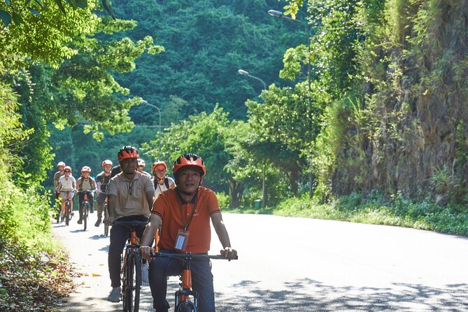 Ninh Binh Day Trip: Hoa Lu-Trang An/Tam Coc-Mua Cave-Cycling-Boat - Mua Cave and the 500 steps to Ngoa Long Mountain
