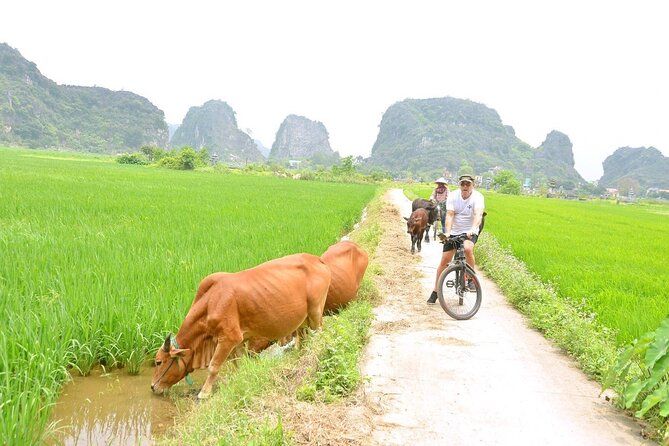 Ninh Binh Full-Day Small Group of 9 Guided Tour from Hanoi - Price and value: why $85 can feel fair
