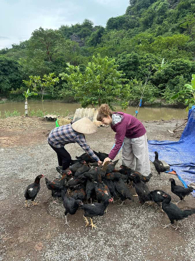 Ninh Binh: Half-Day Cooking Class at a Local Home - Key things to know before you go