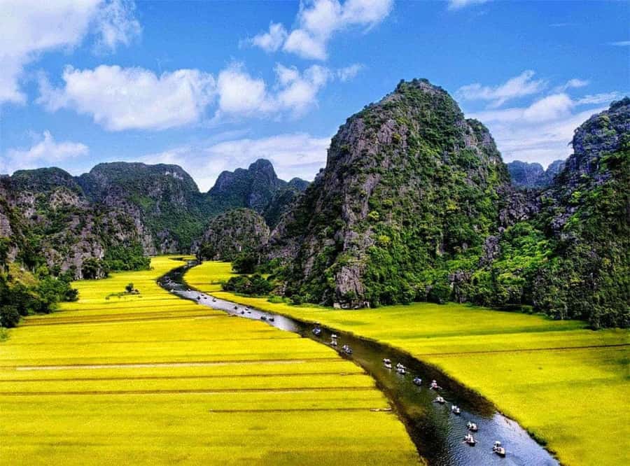 Ninh Binh: Hoa lu, Bai Dinh, Trang an & Mua cave Small Group - Key things that make this day trip worth your time