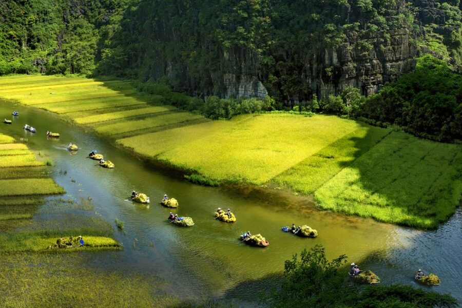 Ninh Binh: Hoa Lu, Trang An and Mua Caves Hiking Day Trip - Mua Cave climb with 486 steps to Tam Coc