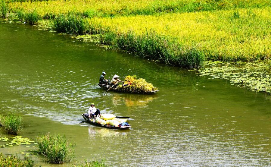 Ninh Binh: Hoa Lu, Trang An and Mua Caves Hiking Day Trip - Hoa Lu Temples and the imperial past you can actually picture