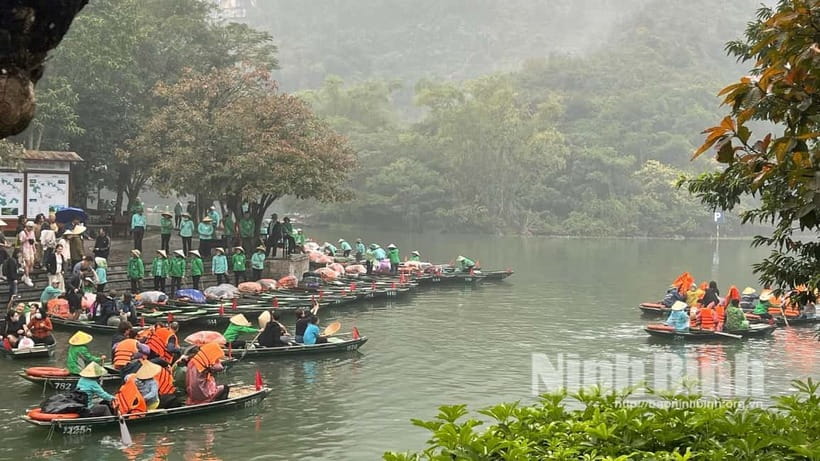 Ninh Binh: Mua Cave Hike, Trang An Boat & Village Bike Tour - Key Highlights You’ll Feel in Real Time