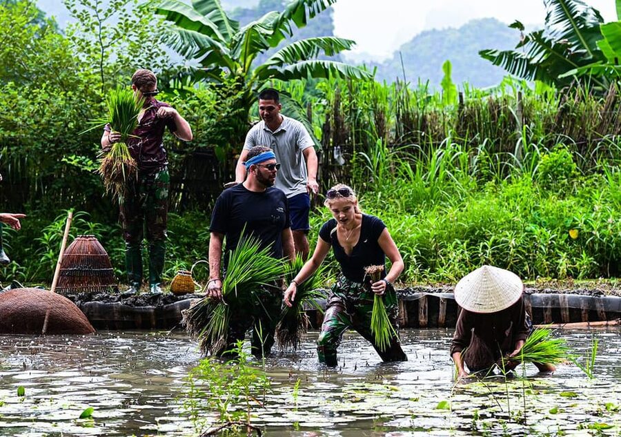 Ninh Binh: Rice planting and fishing by basket tour - From Buffalo Cave to the Rice Fields in 90 Minutes