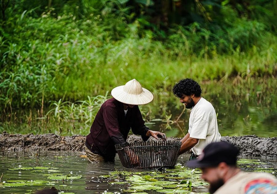 Ninh Binh: Rice planting and fishing by basket tour - Morning Rhythm: Buffalo Feeding, Showering, and Riding