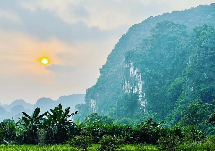 Ninh Binh: Rice planting and fishing by basket tour - Afternoon Option: Same Experience, Different Light