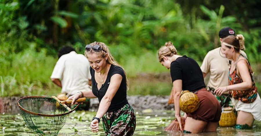 Ninh Binh: Rice planting and fishing by basket tour - Planting Vietnamese Rice: The Cycle From Start to Finish