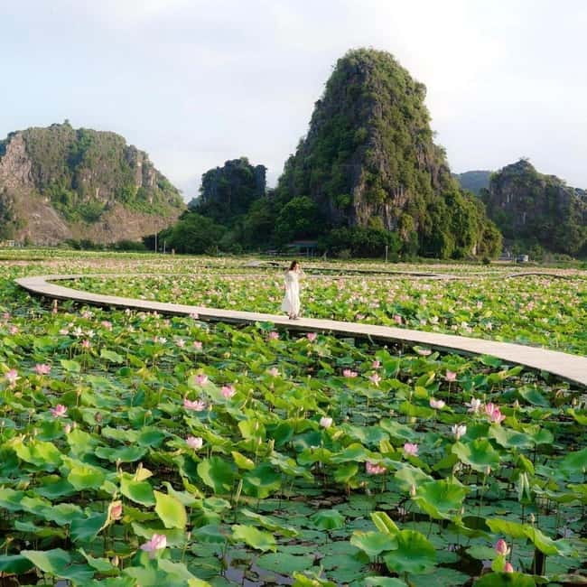 Ninh Binh Sunset Motorbike: Mua Cave, Coi Khe & Hoa Lu Town - Coi Khe Village: rural lanes, calm faces, real pauses