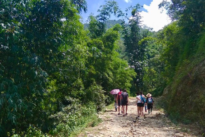 Number one top rated ethical cultural trekking and homestay by ETHOS - Why this Sapa trek feels more ethical than a standard tour