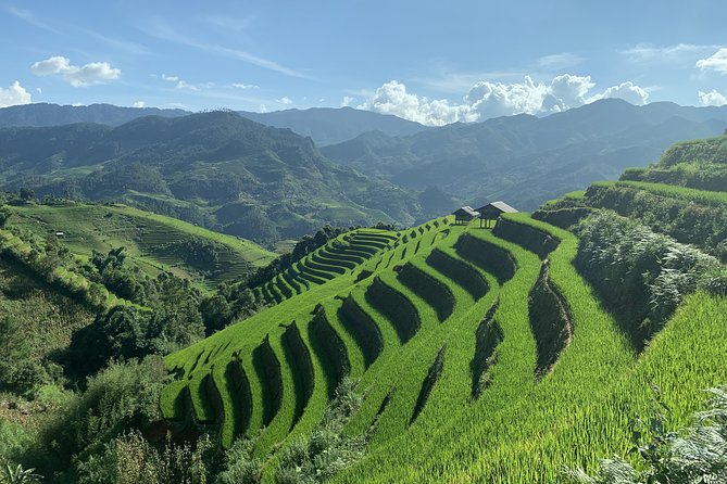 Number one top rated ethical cultural trekking and homestay by ETHOS - Day 2: choose your walking challenge, then taxi back to Sapa