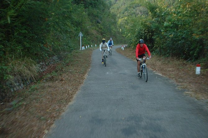 One day bike from Da Lat to Mui Ne - Where you’ll likely see everyday Vietnam: pine to jungle to beach