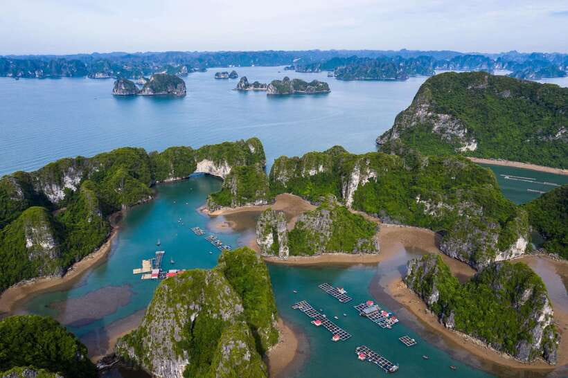 Optional Halong Bay Day Cruise with Caves, Islands & Lunch - Sung Sot Cave: the cave stop that earns its fame