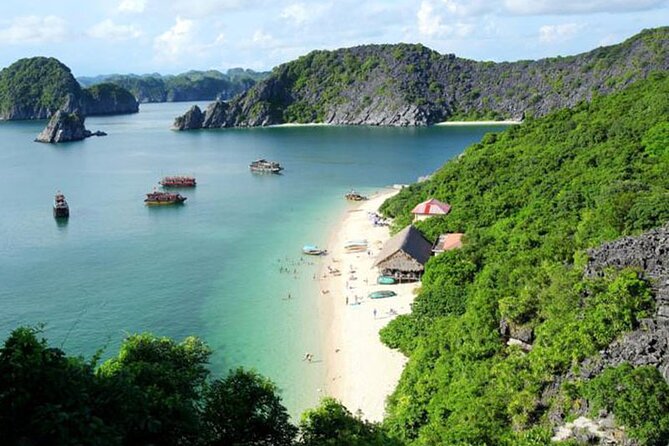 Orchid Cruises Halong Bay 2Day/1Night on 5 Star - Food on board: included meals that actually get praised
