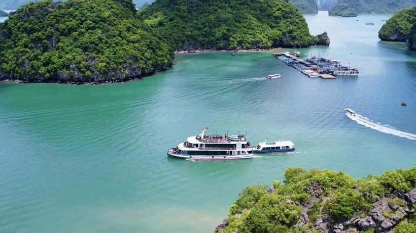 Pamela Cruise: HaLong Bay day trip with Lunch & Activities - Titop Island: swim time, viewpoints, and a real break