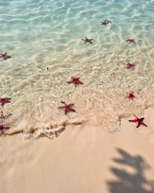 Phu Quoc: Kayaking with Starfish Beach and Bee Farm Tour - Bee farm honey tasting: the most stomach-friendly lesson