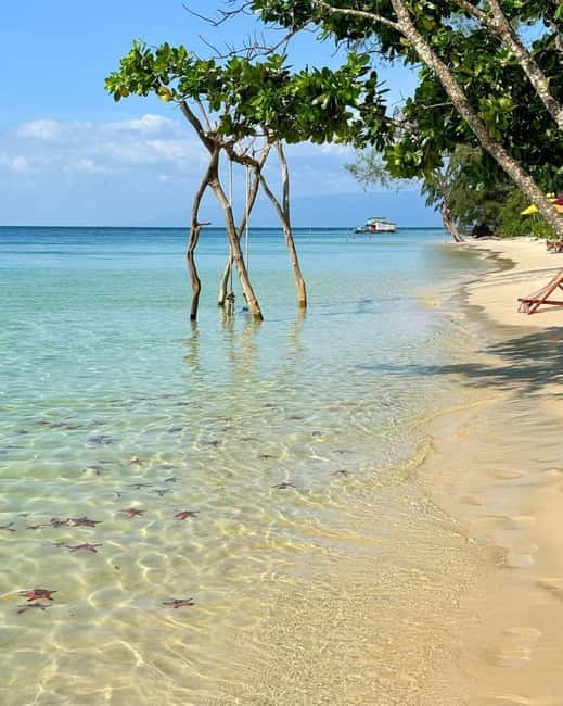 Phu Quoc: Kayaking with Starfish Beach and Bee Farm Tour - Passing the national park and the short forest moment