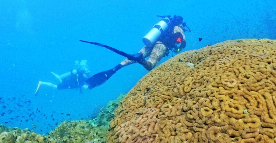 Phu Quoc: Scuba Diving Experience for All Levels - Key things to know before you book
