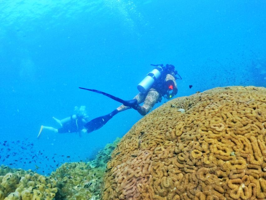 Phu Quoc: Scuba Diving Experience for All Levels - The first underwater session: learning calm control at 6 meters