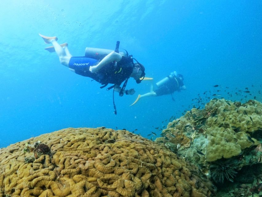 Phu Quoc: Scuba Diving Experience for All Levels - Boat lunch between sessions, with dietary notice