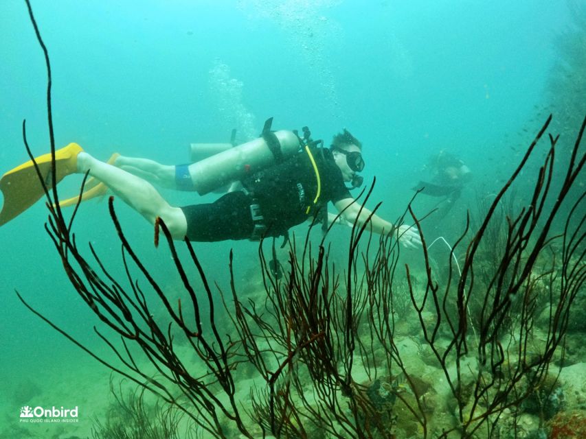 Phu Quoc: Scuba Diving Experience for All Levels - Second site and the deeper option (10 to 17 meters)