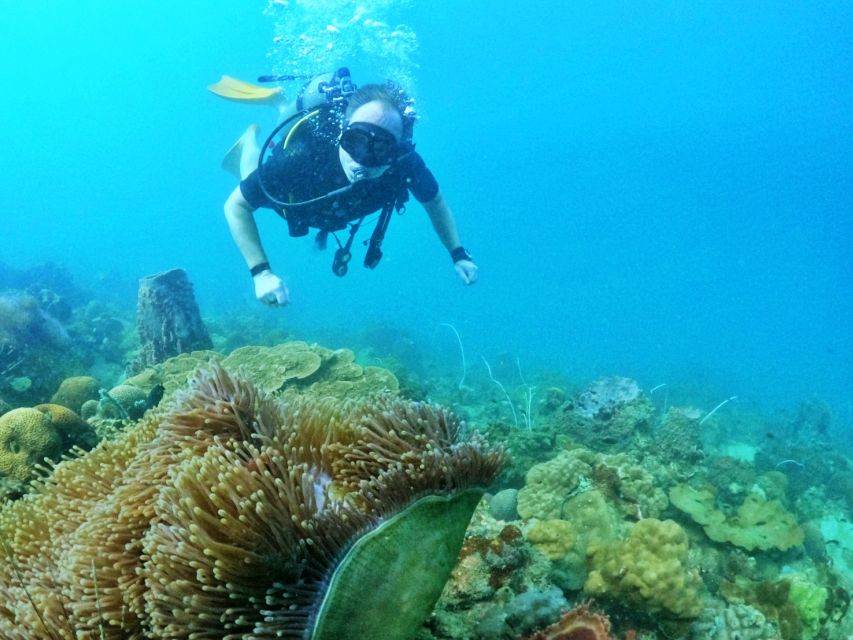 Phu Quoc: Scuba Diving Experience for All Levels - Non-certified versus certified: how the day changes