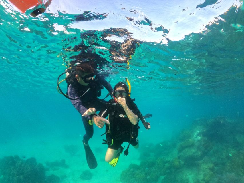 Phu Quoc: Scuba Diving Experience for All Levels - The underwater experience you can actually expect