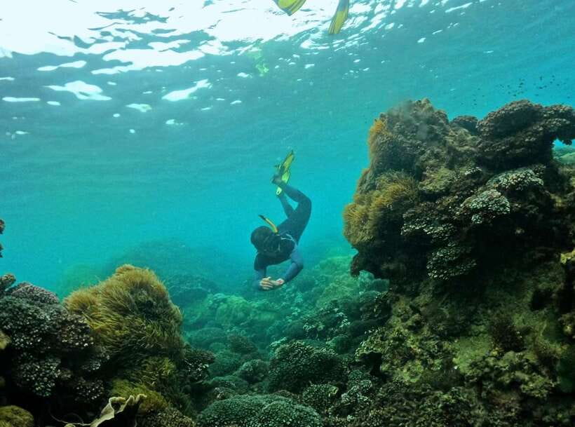 Phu Quoc Small-group Snorkeling to the Coral Jungle Reef - Getting there: the transfer, van ride, and speedboat feel