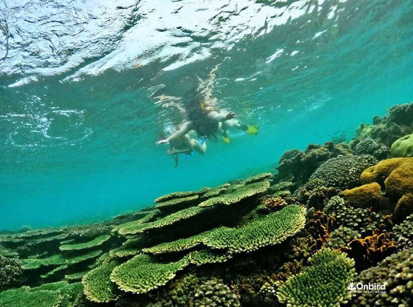 Phu Quoc Small-group Snorkeling to the Coral Jungle Reef - Training on a calm beach: the part that makes snorkeling easier
