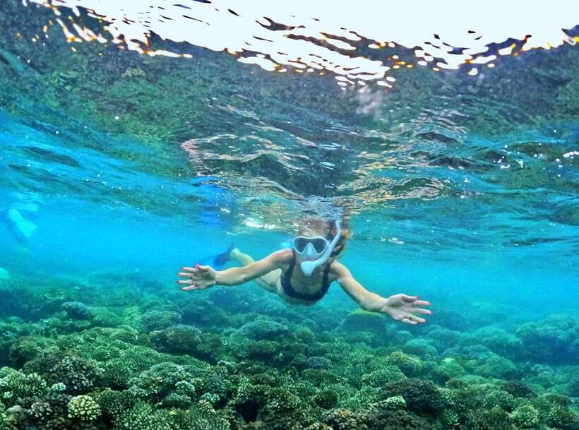 Phu Quoc Small-group Snorkeling to the Coral Jungle Reef - Robinson Island break and the Half-Moon Bay finish