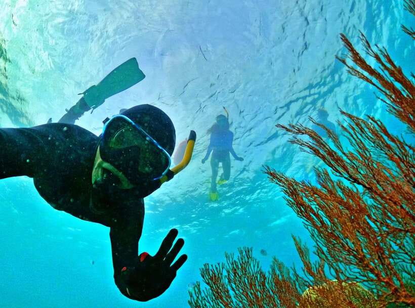 Phu Quoc Small-group Snorkeling to the Coral Jungle Reef - Price and what you really get for $58
