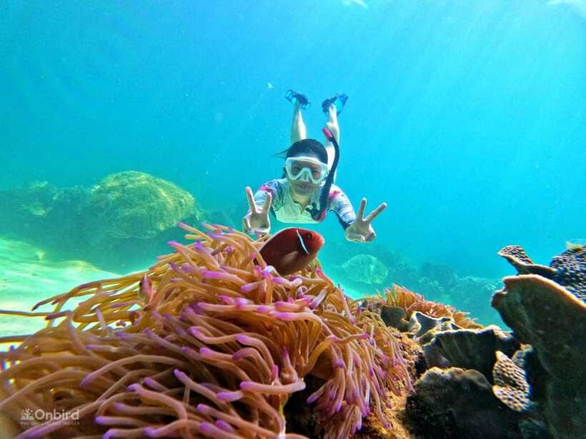 Phu Quoc: Speed Boat Tour 4 Islands - 2 Reefs Snorkeling - Stop 1: shallow-water practice before deeper reefs