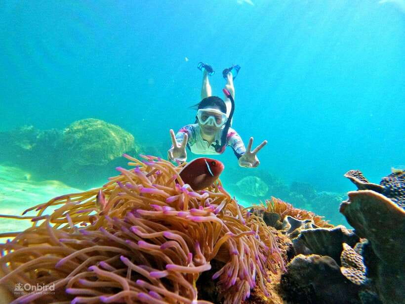 Phu Quoc: Speed Boat Tour 4 Islands - 2 Reefs Snorkeling - Small-group speedboat comfort, pickup, and the 6-hour rhythm