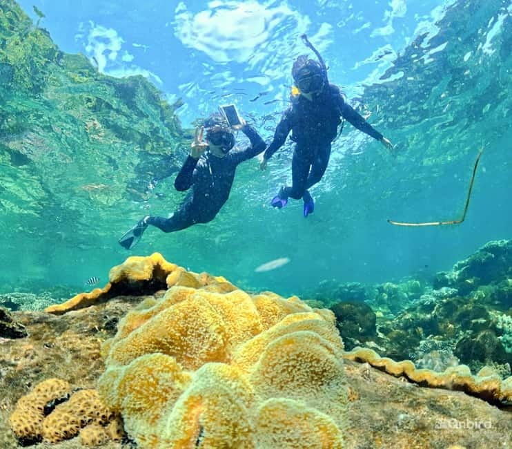 Phu Quoc Speedboat Pro Snorkeling: 4 Islands-2 Reefs & Meal - Stop 1 calm-beach setup: safety, equipment familiarization, and coral rules
