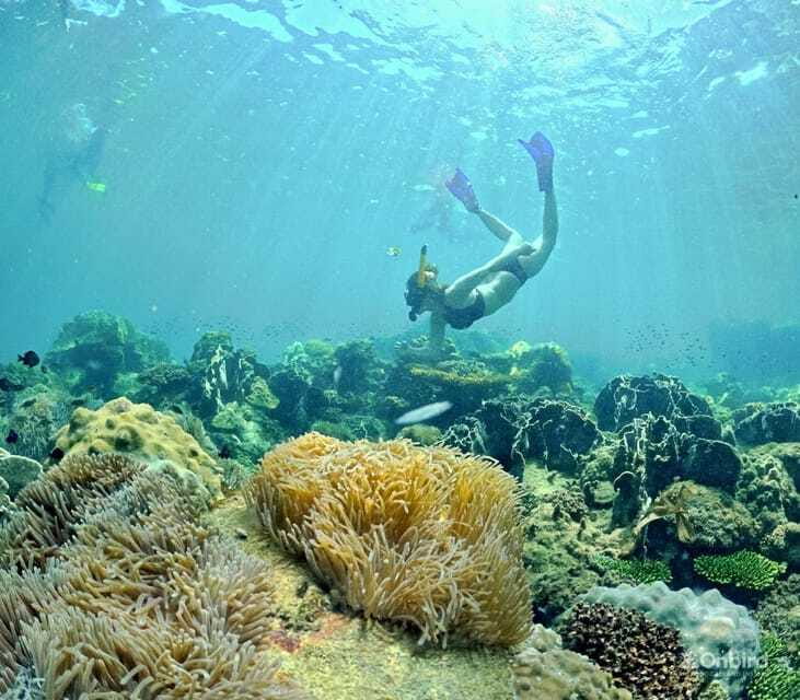 Phu Quoc Speedboat Pro Snorkeling: 4 Islands-2 Reefs & Meal - The 4th stop beach chairs: fruit, cold drinks, and a real breather