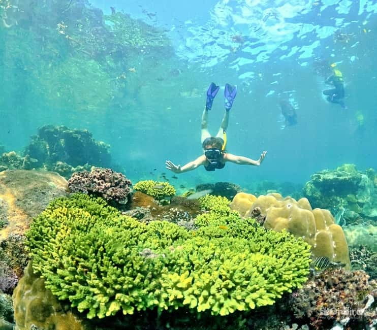 Phu Quoc Speedboat Pro Snorkeling: 4 Islands-2 Reefs & Meal - Small-group control, instructor attention, and clean gear