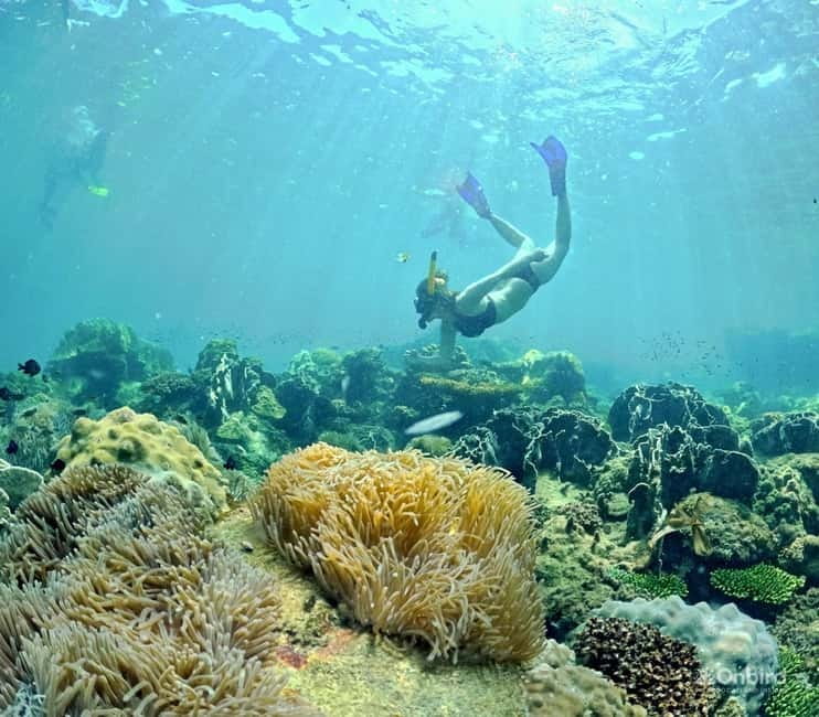 Phu Quoc Speedboat Pro Snorkeling: 4 Islands-2 Reefs & Meal - The 4-island route in 5 stops (and what each one is for)