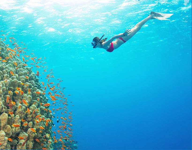 Phu Quoc: Speedboat Tour of 4 Islands with Snorkeling & BBQ - Stop-by-stop: Kim Quy, May Rut Ngoai or Gham Ghi, Buom, and Fingernail