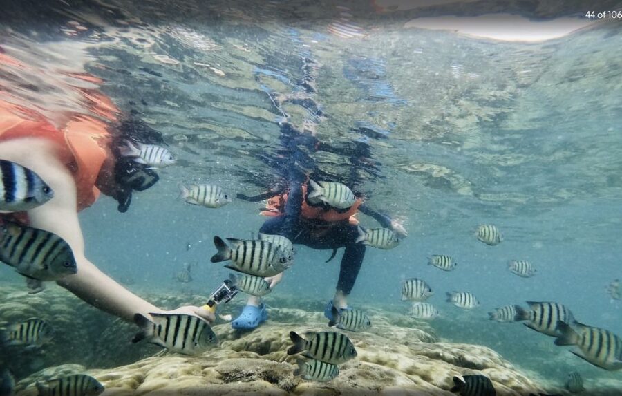Phu Quoc: Speedboat Tour of 4 Islands with Snorkeling & BBQ - Snorkeling gear, reef time, and how to get better results