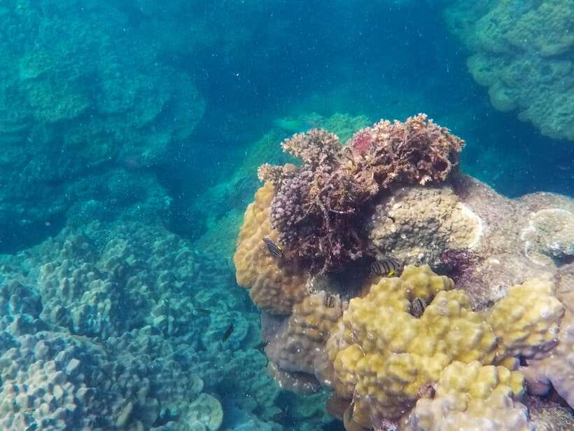 Phu Quoc Speedboat Trip: 3 Islands By Speedboat - May Rut Trong Island Lunch and the White Sand Lagoon Chillout
