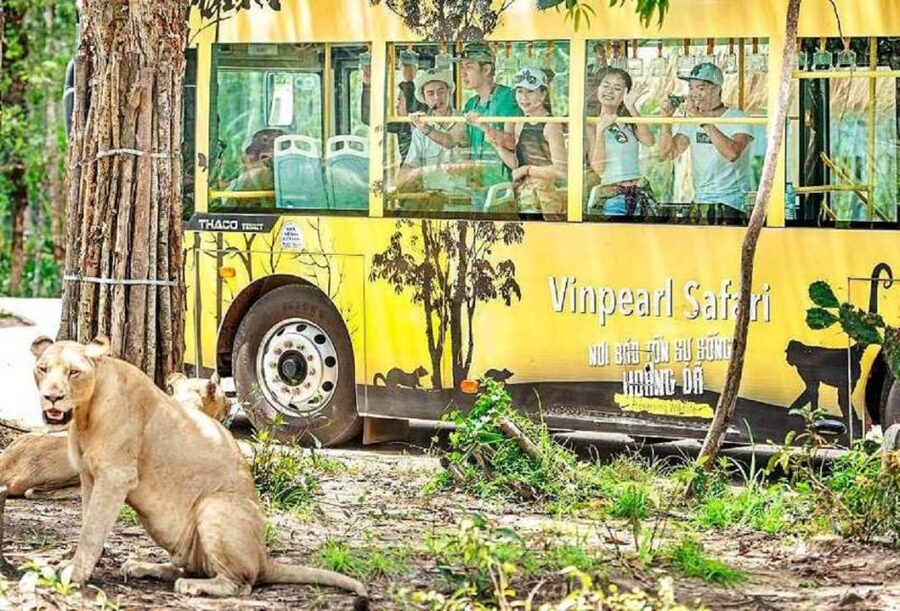Phu Quoc: Vinpearl Safari Park Entry Ticket - Safari Feeling: Being Enclosed While Animals Roam Free