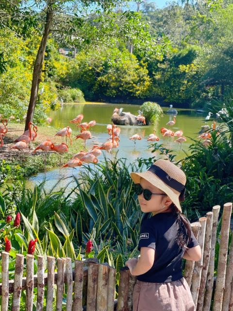 Phu Quoc: Vinpearl Safari Park Entry Ticket - Shows: Elephants and Sea Lions as Part of the Day Plan