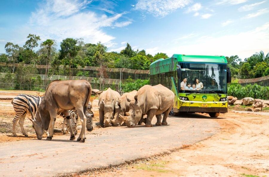 Phu Quoc: Vinpearl Safari Park Entry Ticket - Getting In: Redemption, What to Bring, and the No-Frills Start