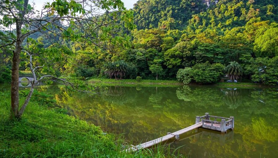 Private Day Tour: Cuc Phuong National Park from Hanoi - Who should book this private Cuc Phuong day tour