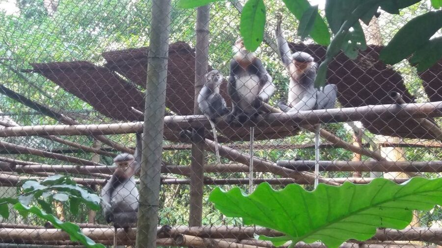 Private Day Tour: Cuc Phuong National Park from Hanoi - The park walk and sightseeing breaks: where fatigue and enjoyment meet