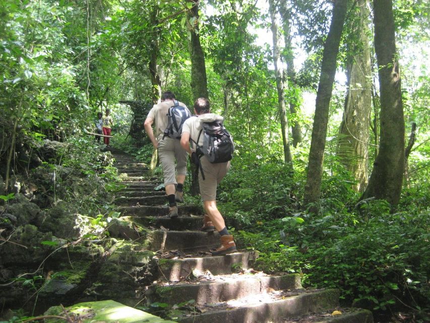 Private Day Tour: Cuc Phuong National Park from Hanoi - The jungle hike: what you will notice beyond the trail